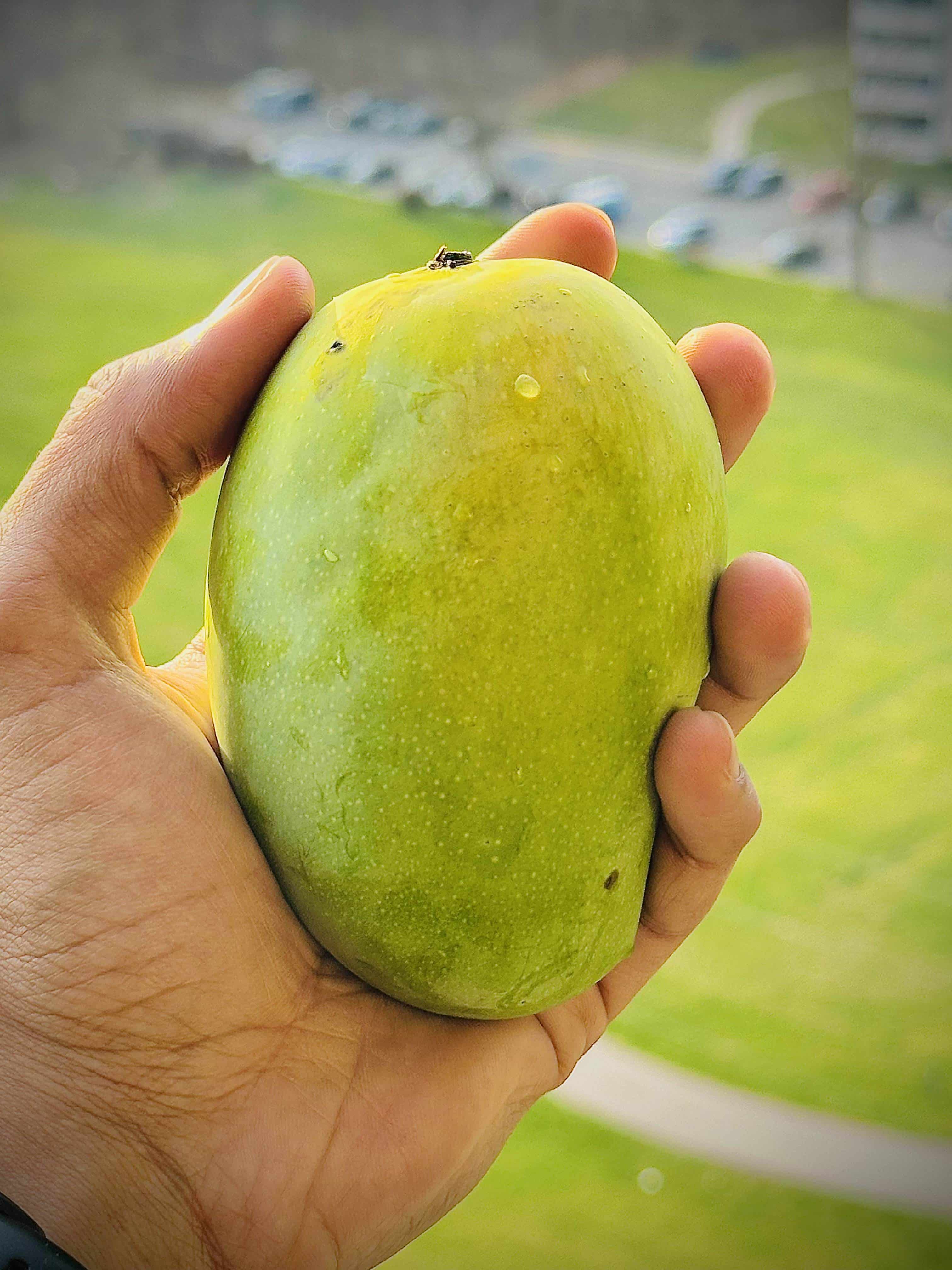 Gokul Superstore - Kesar Mango Talala Gir